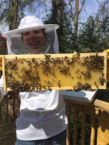 Pictured is Madeleine Schwab holding a colony of bees