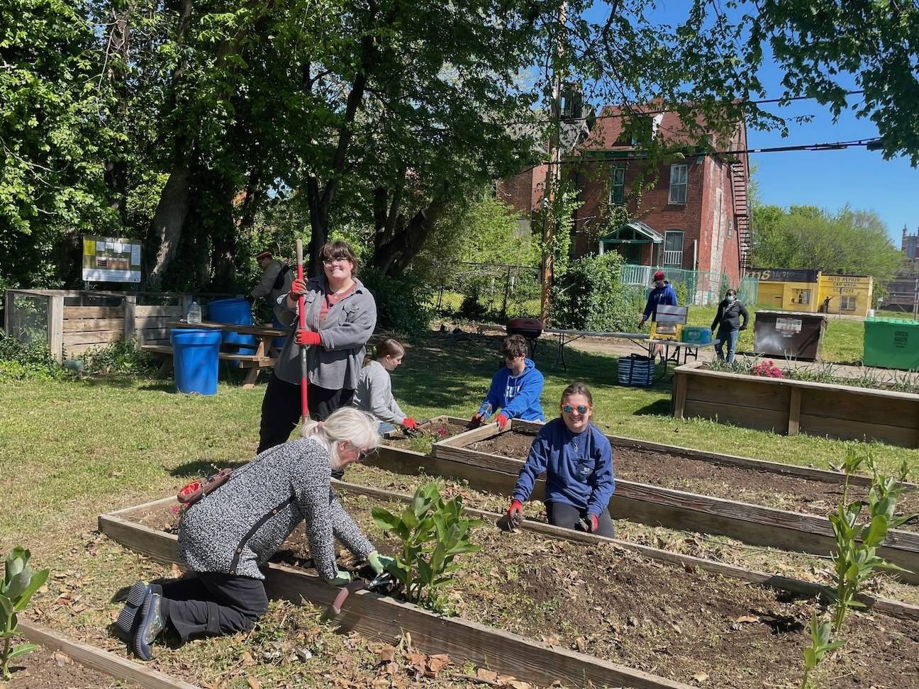 A group of students volunteer in a community garden