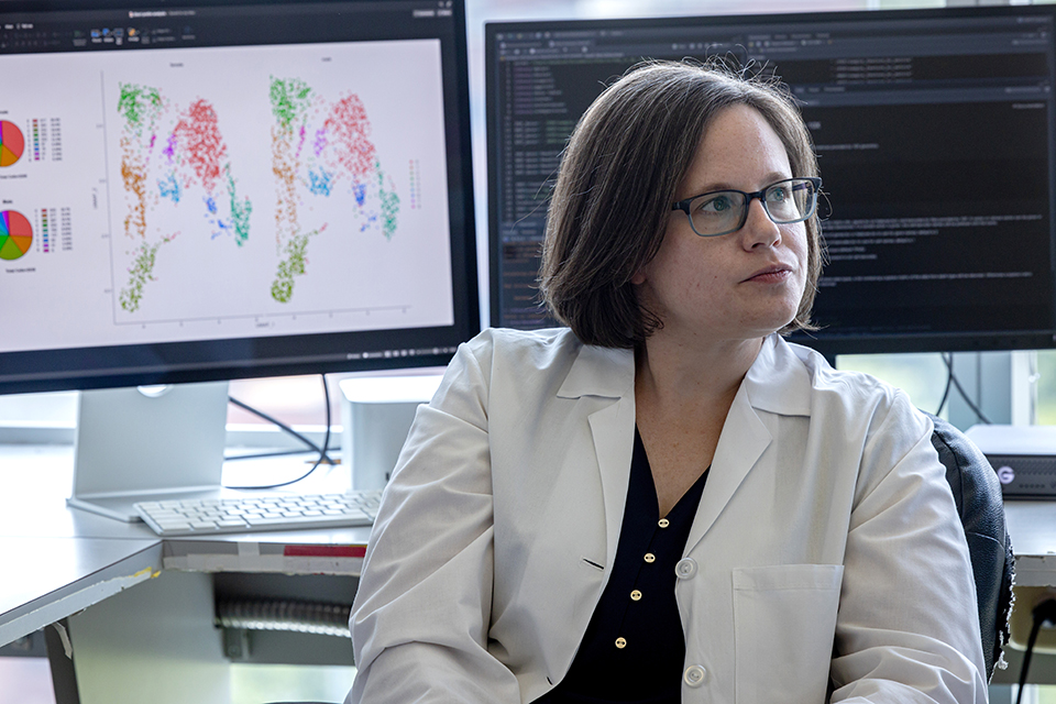 Elise Alspach, Ph.D., does research on a computer in a lab on SLU's campus. Her back is turned away from the computer screen. 