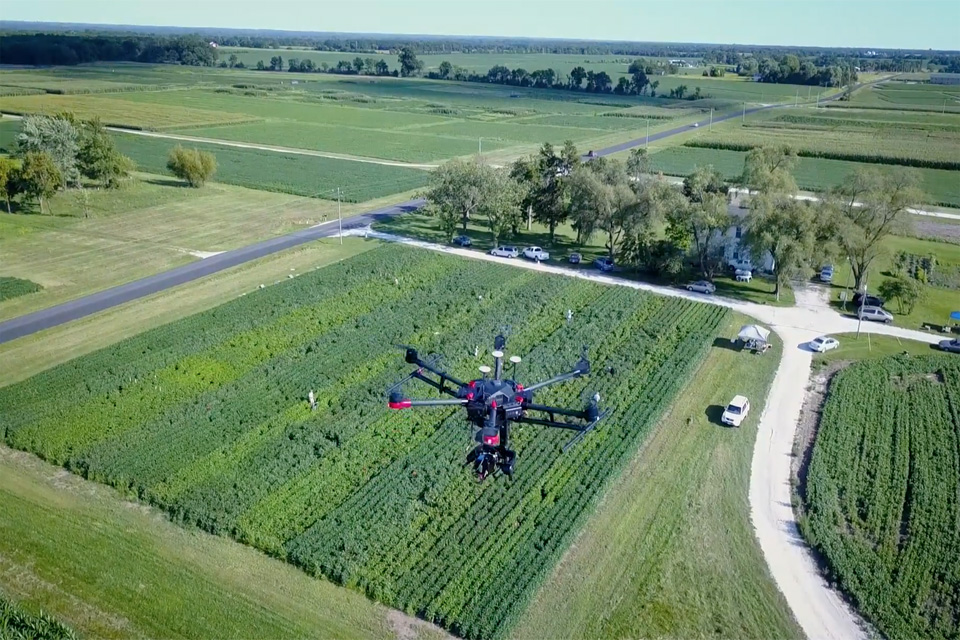 Drone monitoring crops